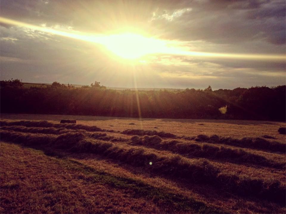 Evening hay furrowed up